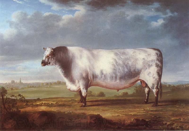 Thomas Alder A Prize Bull France oil painting art